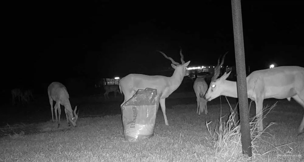 3660 State Highway 285 Highway E Falfurrias, TX 78355