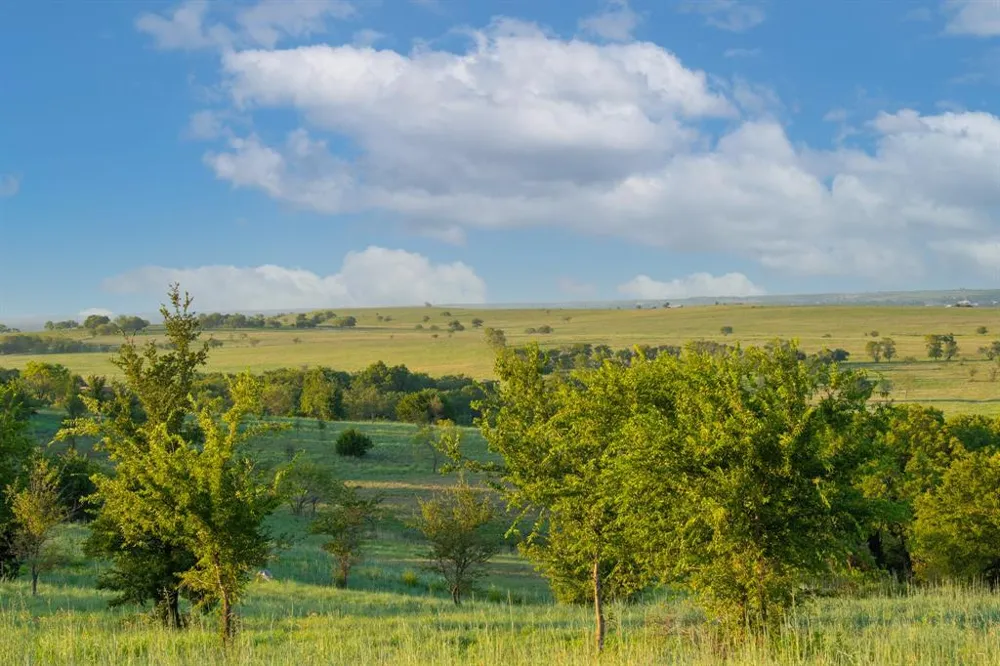 3027 Winding Creek Trail Aledo, TX 76008