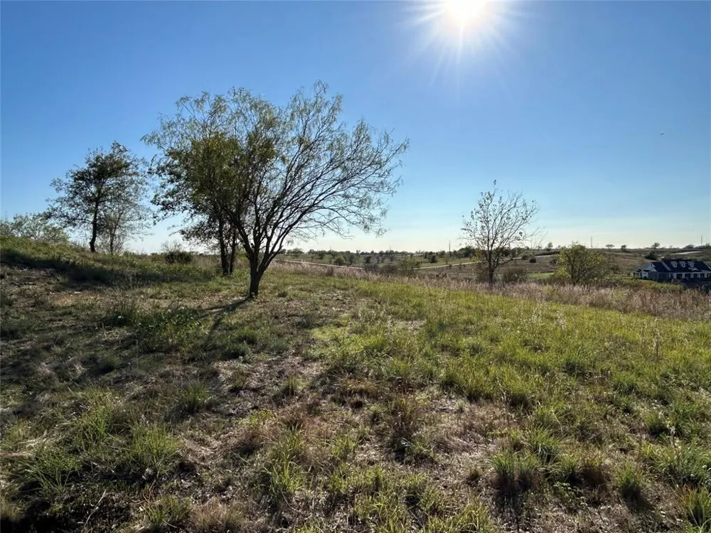 2010 Hidden Bluff Drive Aledo, TX 76008