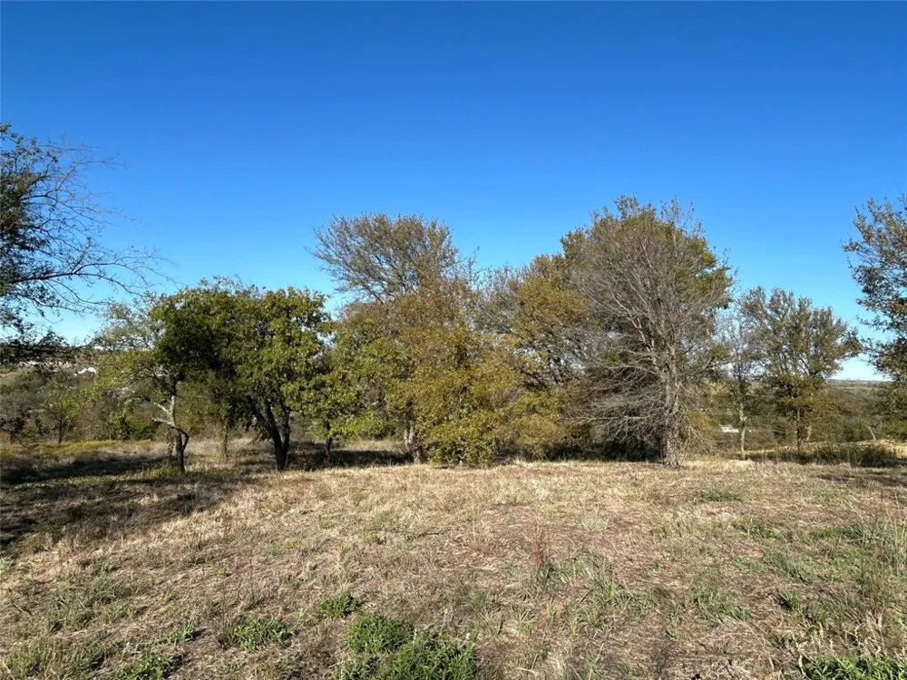 2010 Hidden Bluff Drive Aledo, TX 76008