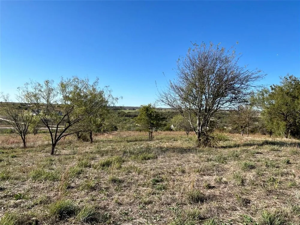 2010 Hidden Bluff Drive Aledo, TX 76008