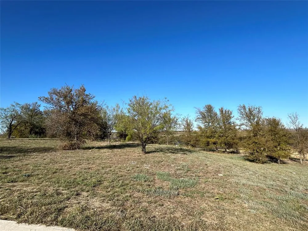 2010 Hidden Bluff Drive Aledo, TX 76008