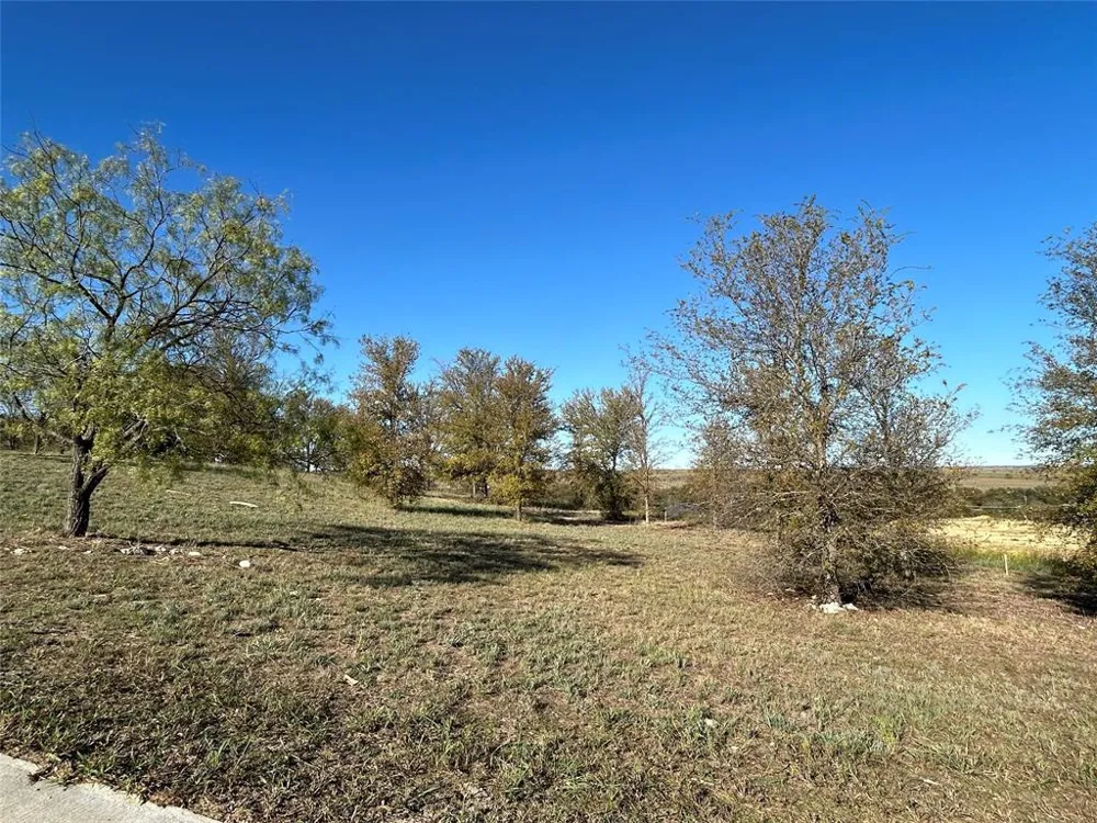 2010 Hidden Bluff Drive Aledo, TX 76008
