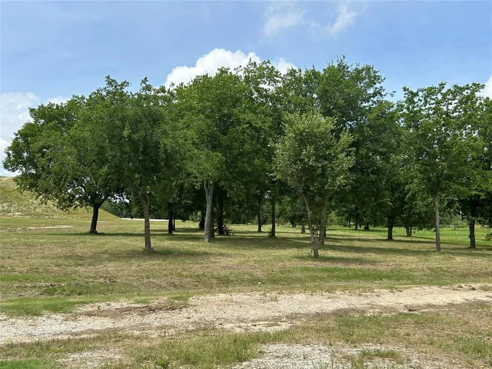 1008 Bear Creek Ranch Aledo, TX 76008