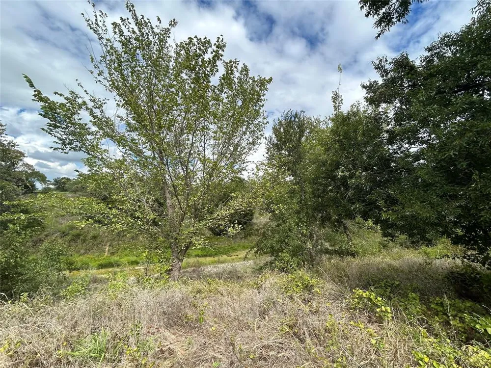 3044 Winding Creek Trail Aledo, TX 76008