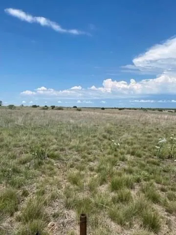 2565 County Road 617 Hamilton, TX 76531