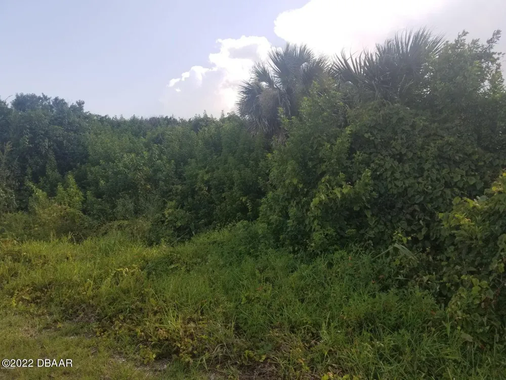 4570 S Peninsula Drive Ponce Inlet, FL 32127