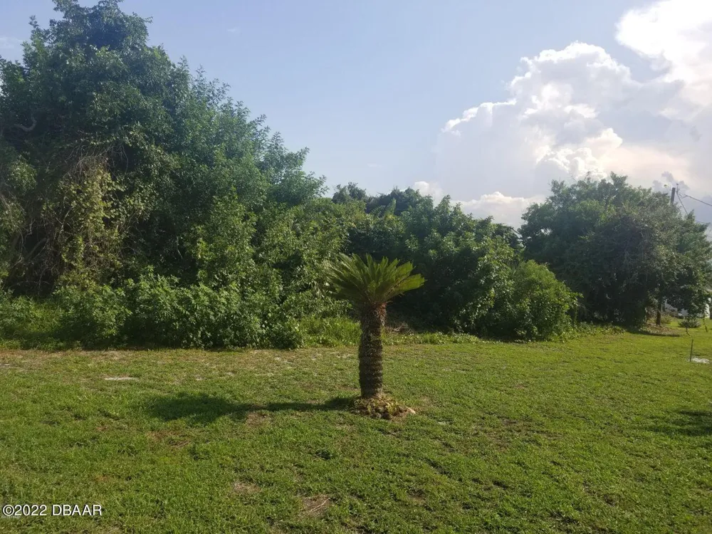 4570 S Peninsula Drive Ponce Inlet, FL 32127