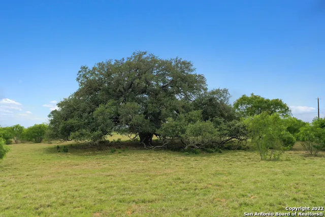 13857 Us Highway 87 S Adkins, TX 78101