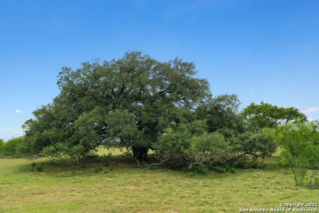 13857 Us Highway 87 S Adkins, TX 78101