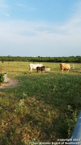 13857 Us Highway 87 S Adkins, TX 78101