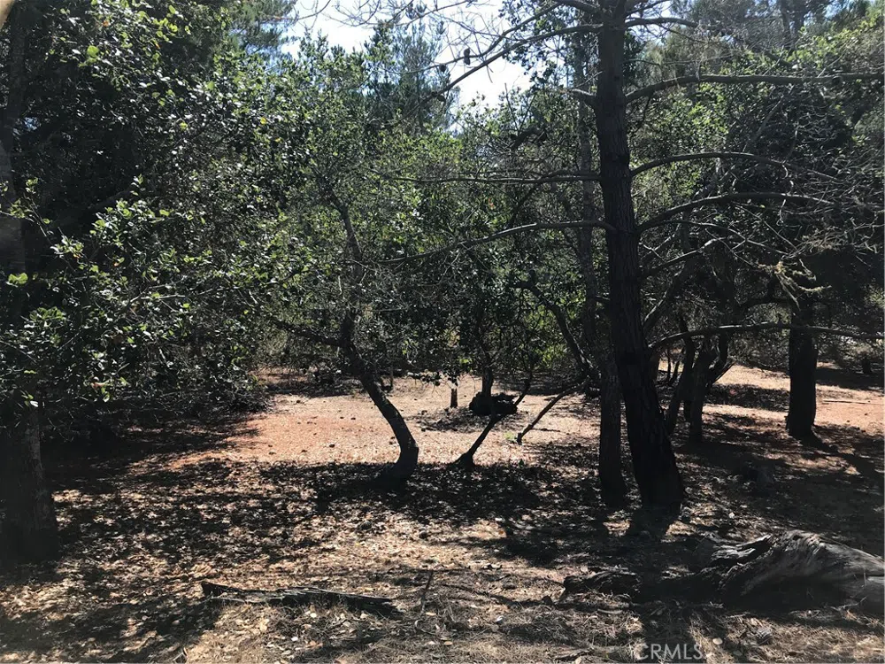 Tully Place Cambria, CA 93428