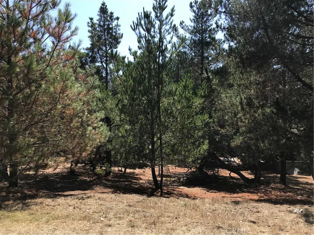 Tully Place Cambria, CA 93428