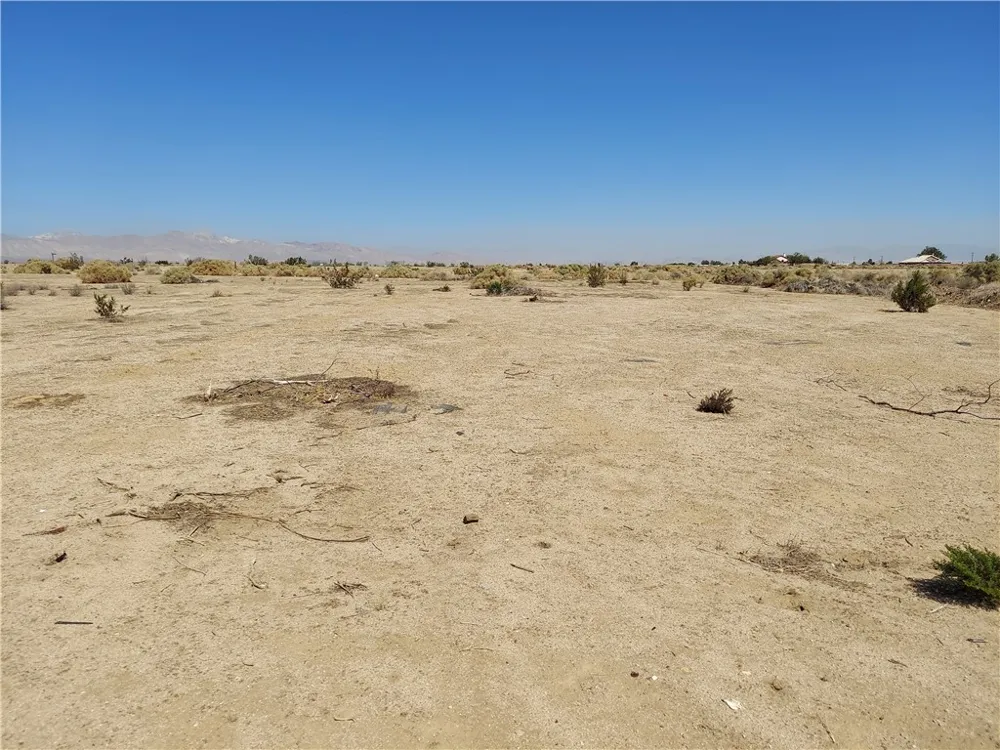 Clover Dr #1 California City, CA 93505