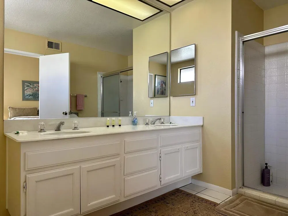 294 San Vicente Circle Palm Desert, CA 92260