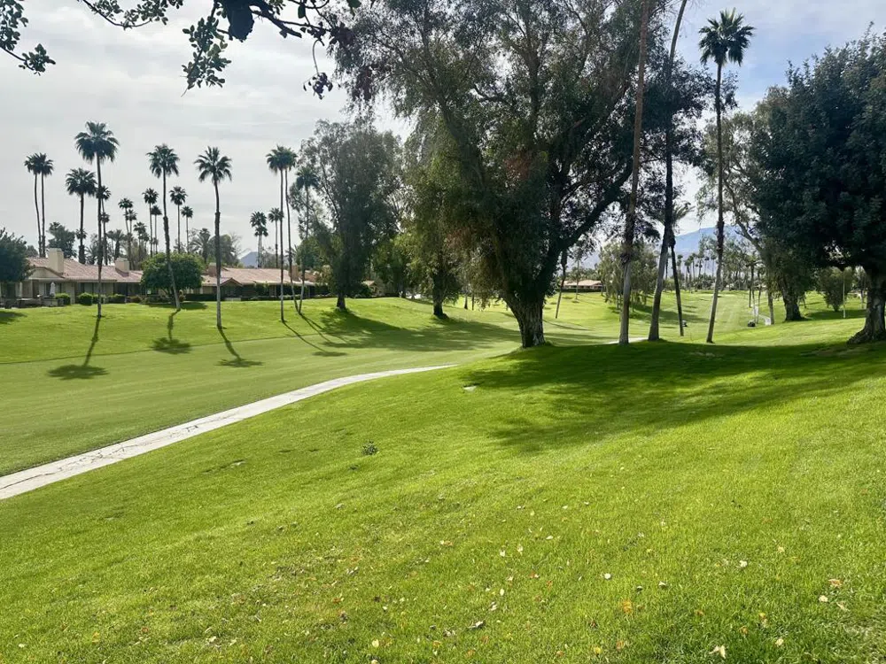 294 San Vicente Circle Palm Desert, CA 92260
