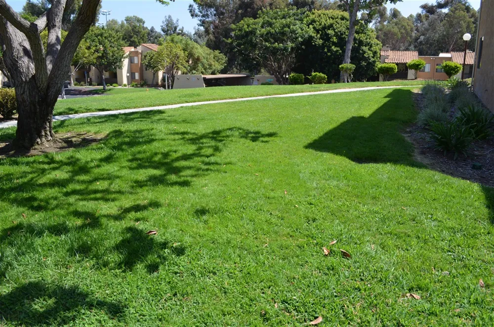 Address Not Shown Encinitas, CA 92024