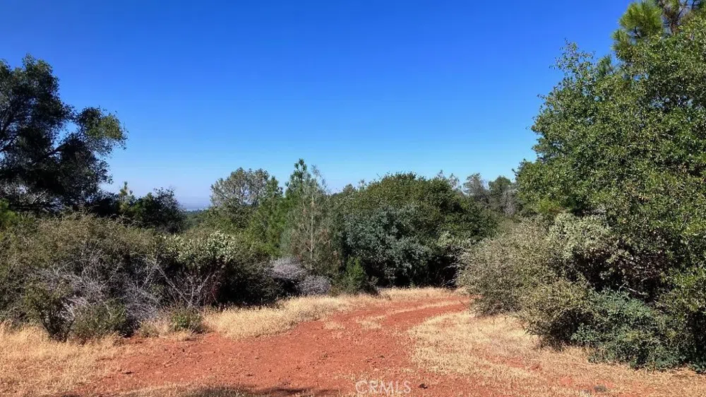 Potter Ravine Road Oroville, CA 95965