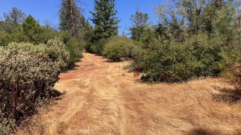 Potter Ravine Road Oroville, CA 95965