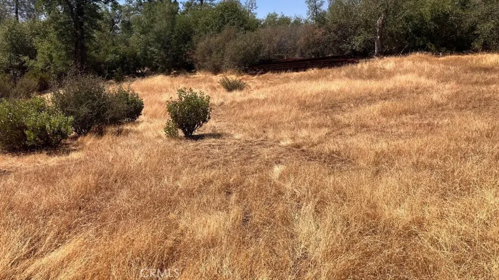 Potter Ravine Road Oroville, CA 95965