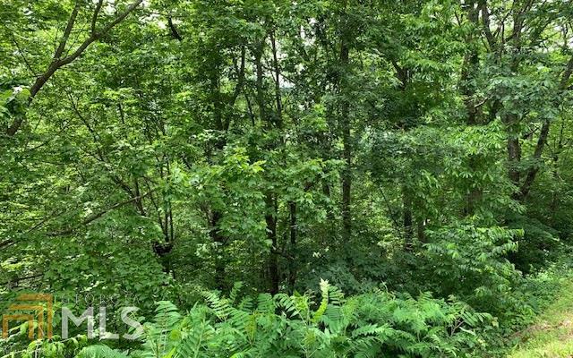 LOT 50A Eagles VW Hayesville, NC 28904