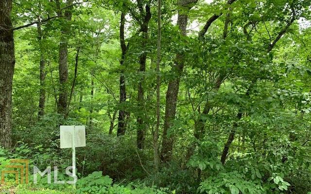 LOT 50A Eagles VW Hayesville, NC 28904