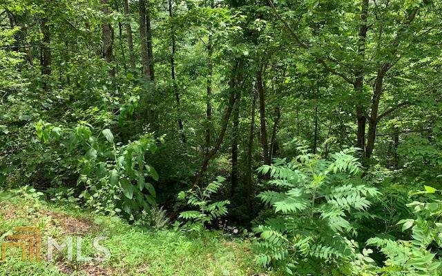 LOT 50A Eagles VW Hayesville, NC 28904