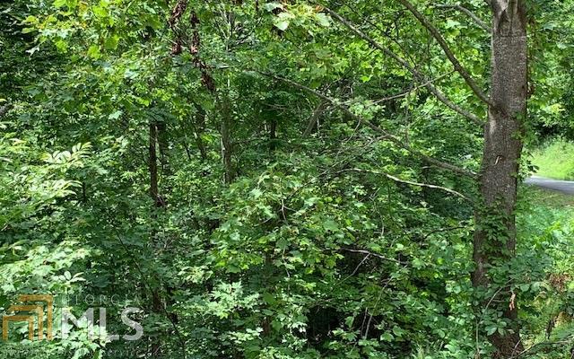 LOT 50A Eagles VW Hayesville, NC 28904