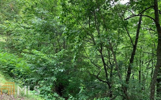 LOT 50A Eagles VW Hayesville, NC 28904