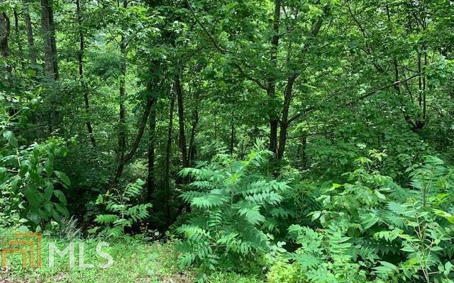 LOT 50A Eagles VW Hayesville, NC 28904