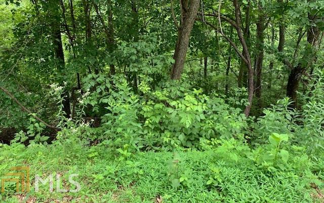 LOT 50A Eagles VW Hayesville, NC 28904