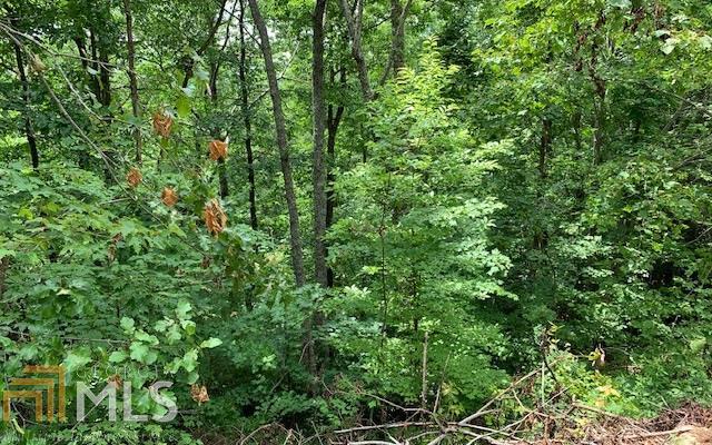 LOT 50A Eagles VW Hayesville, NC 28904