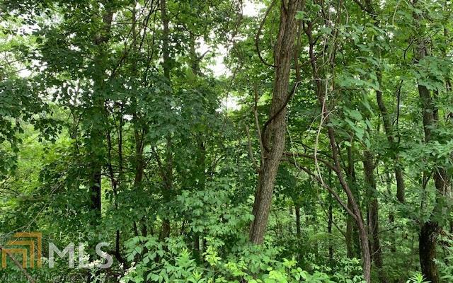 LOT 50A Eagles VW Hayesville, NC 28904