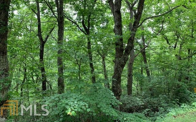 LOT 50A Eagles VW Hayesville, NC 28904