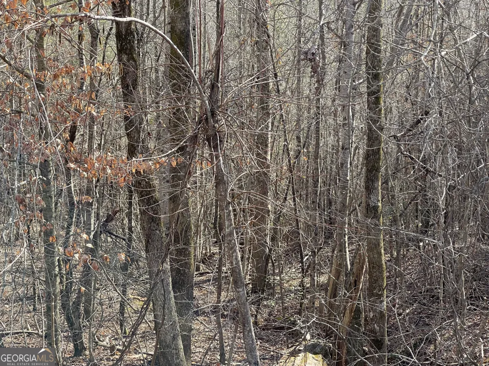 0 Ben Jones RD Clarkesville, GA 30523