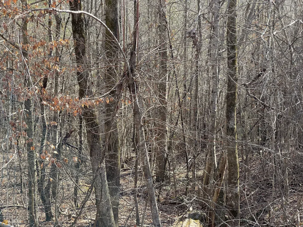 0 Ben Jones RD Clarkesville, GA 30523