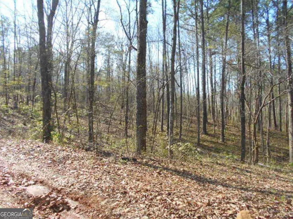0 Nebo RD Dallas, GA 30141
