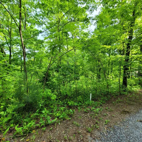 4 Oak Forest Acres