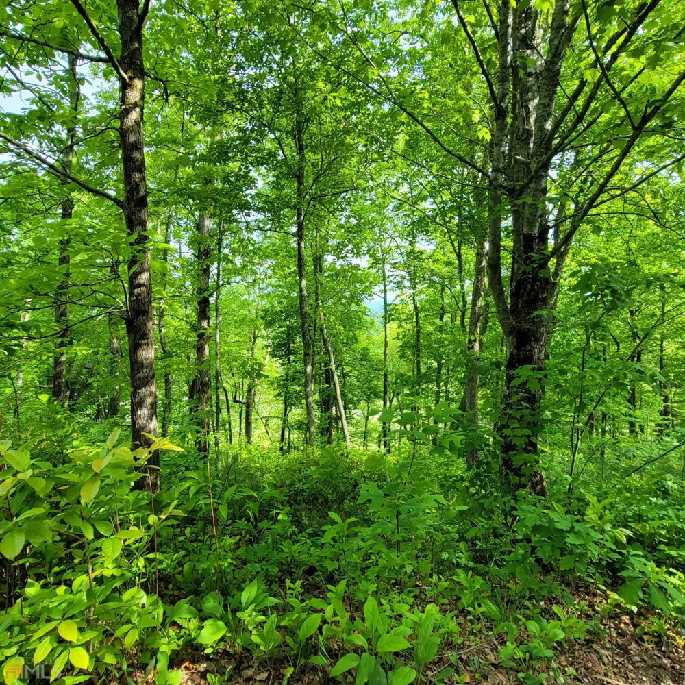 4 Oak Forest Acres Hayesville, NC 28904