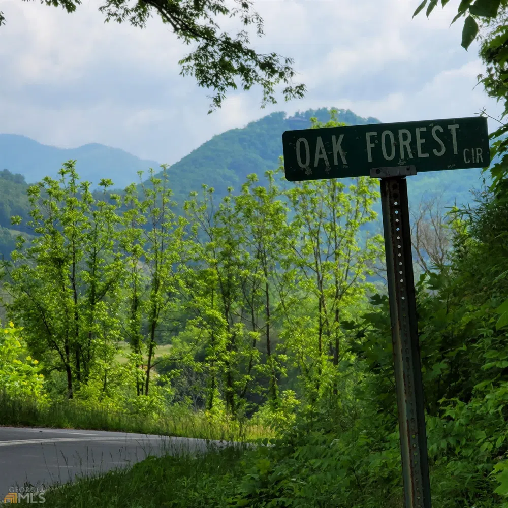 4 Oak Forest Acres Hayesville, NC 28904