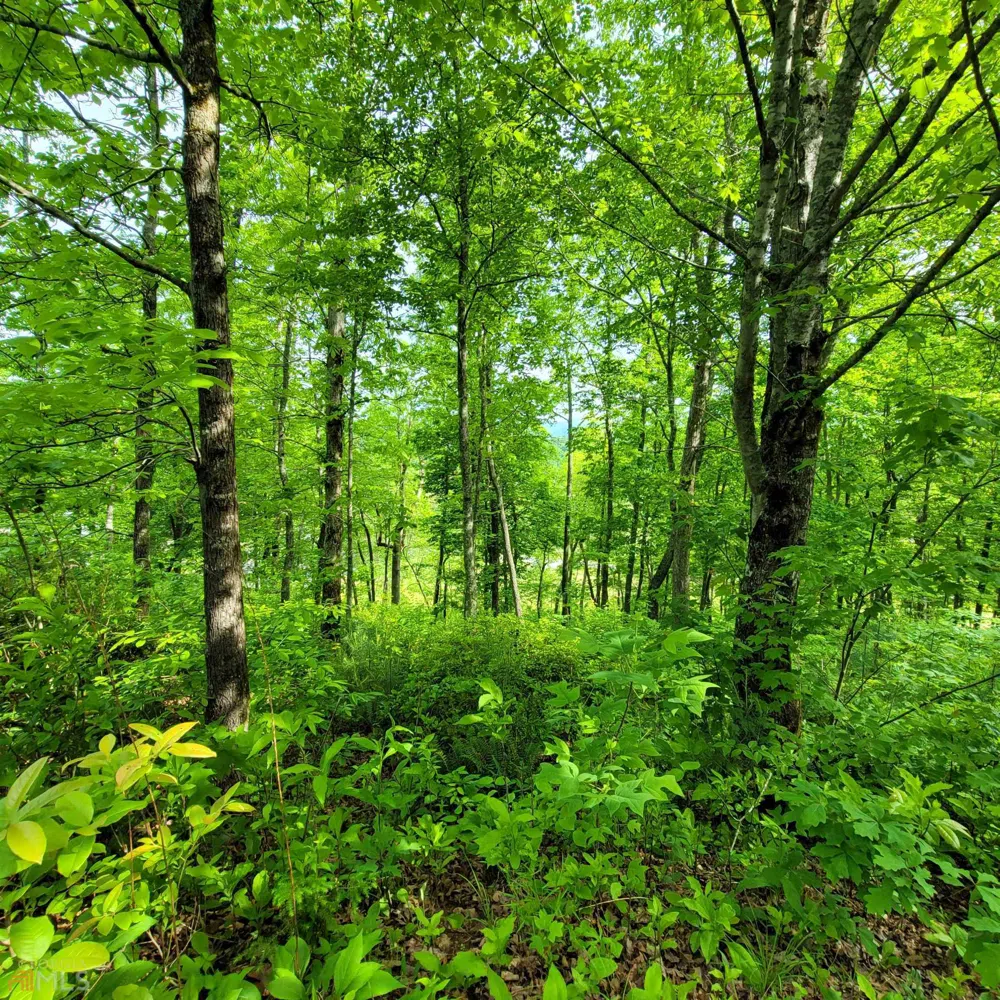 4 Oak Forest Acres Hayesville, NC 28904