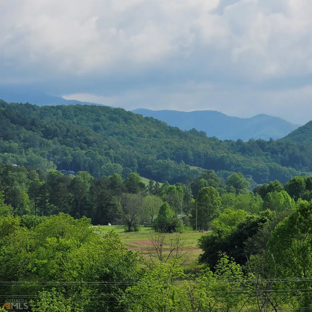 4 Oak Forest Acres Hayesville, NC 28904