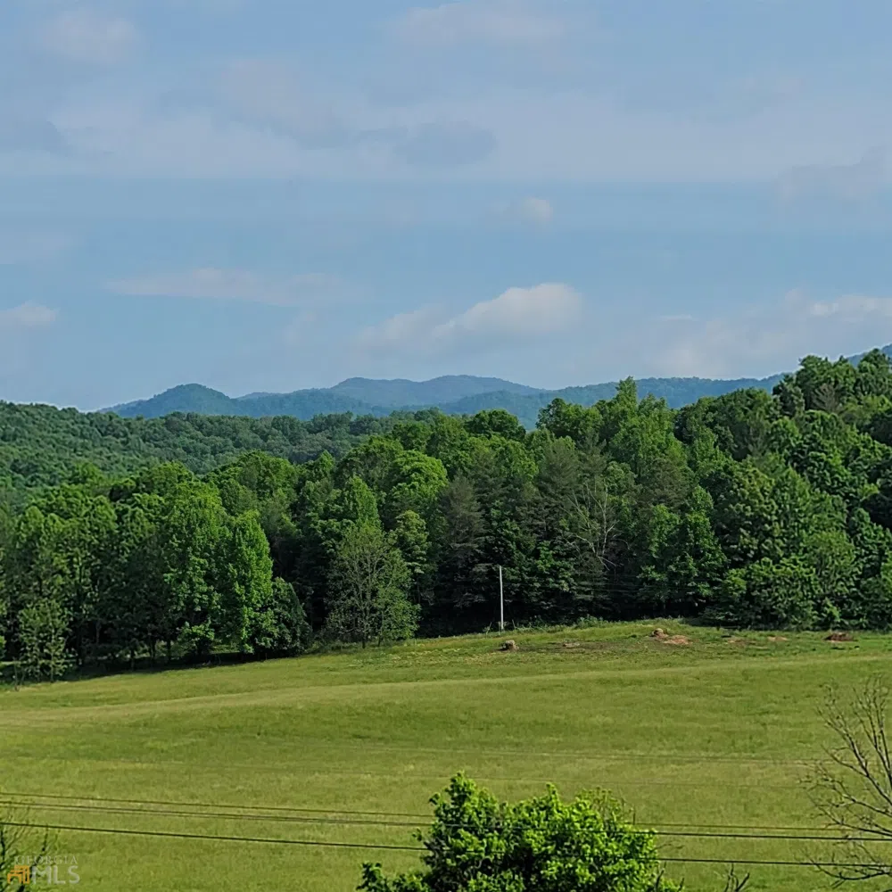 4 Oak Forest Acres Hayesville, NC 28904