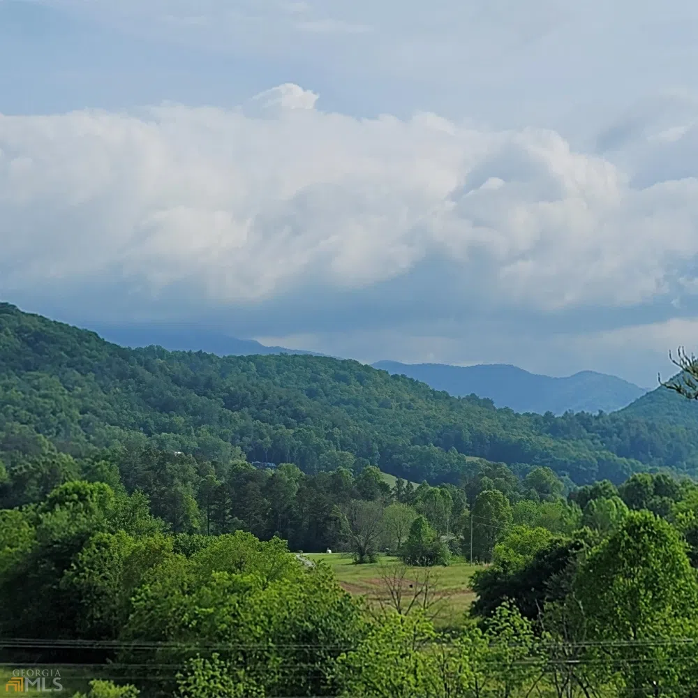 4 Oak Forest Acres Hayesville, NC 28904