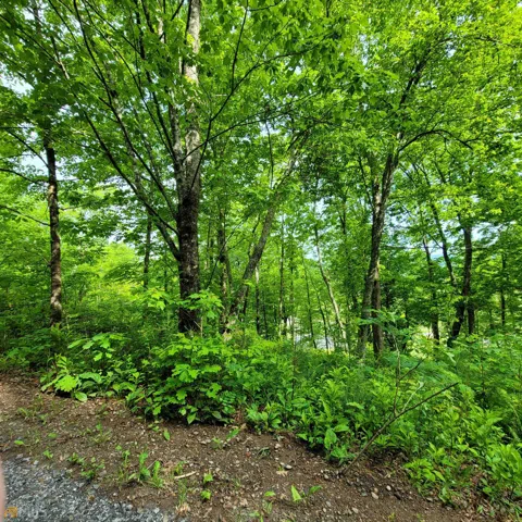 5 Oak Forest Acres