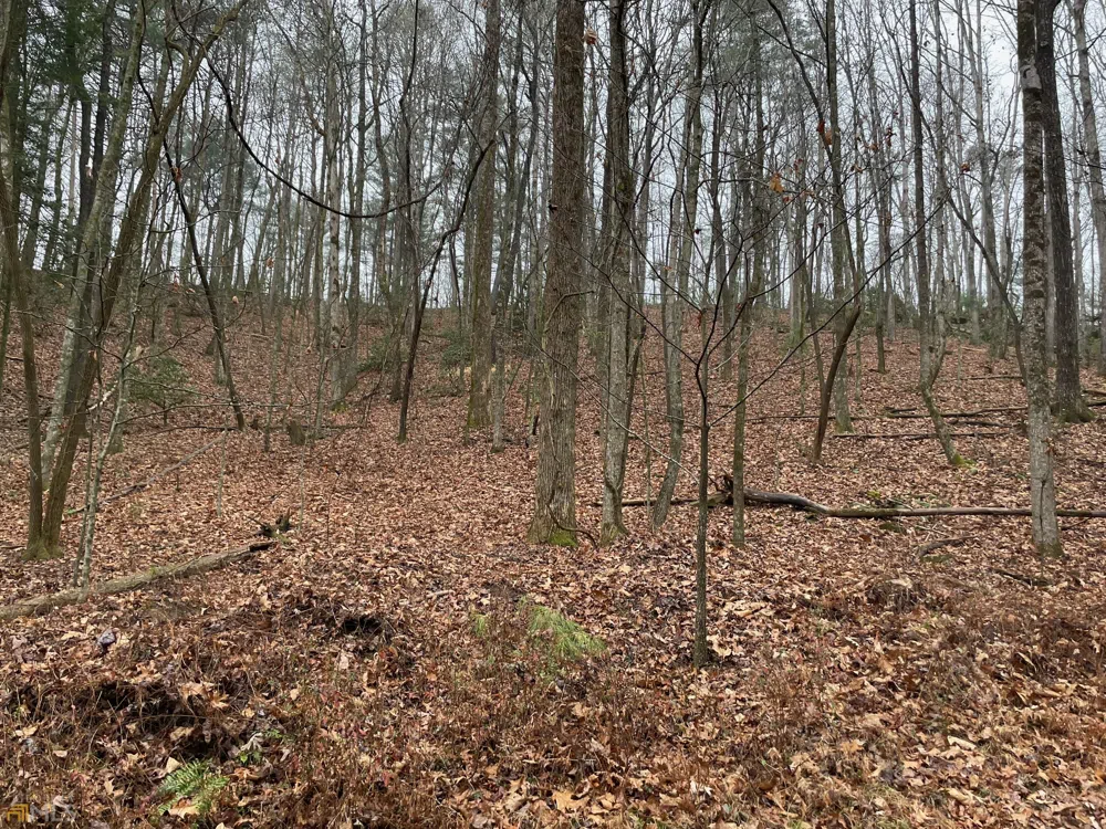 0 Walhalla CT Ellijay, GA 30540