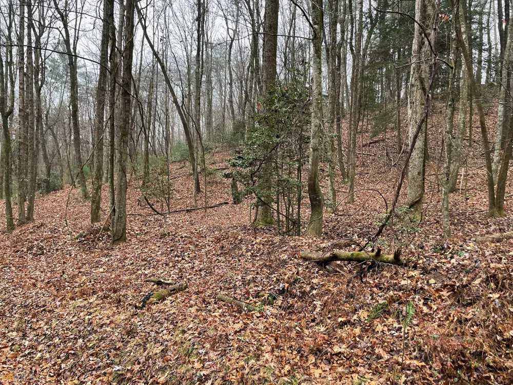 0 Walhalla CT Ellijay, GA 30540