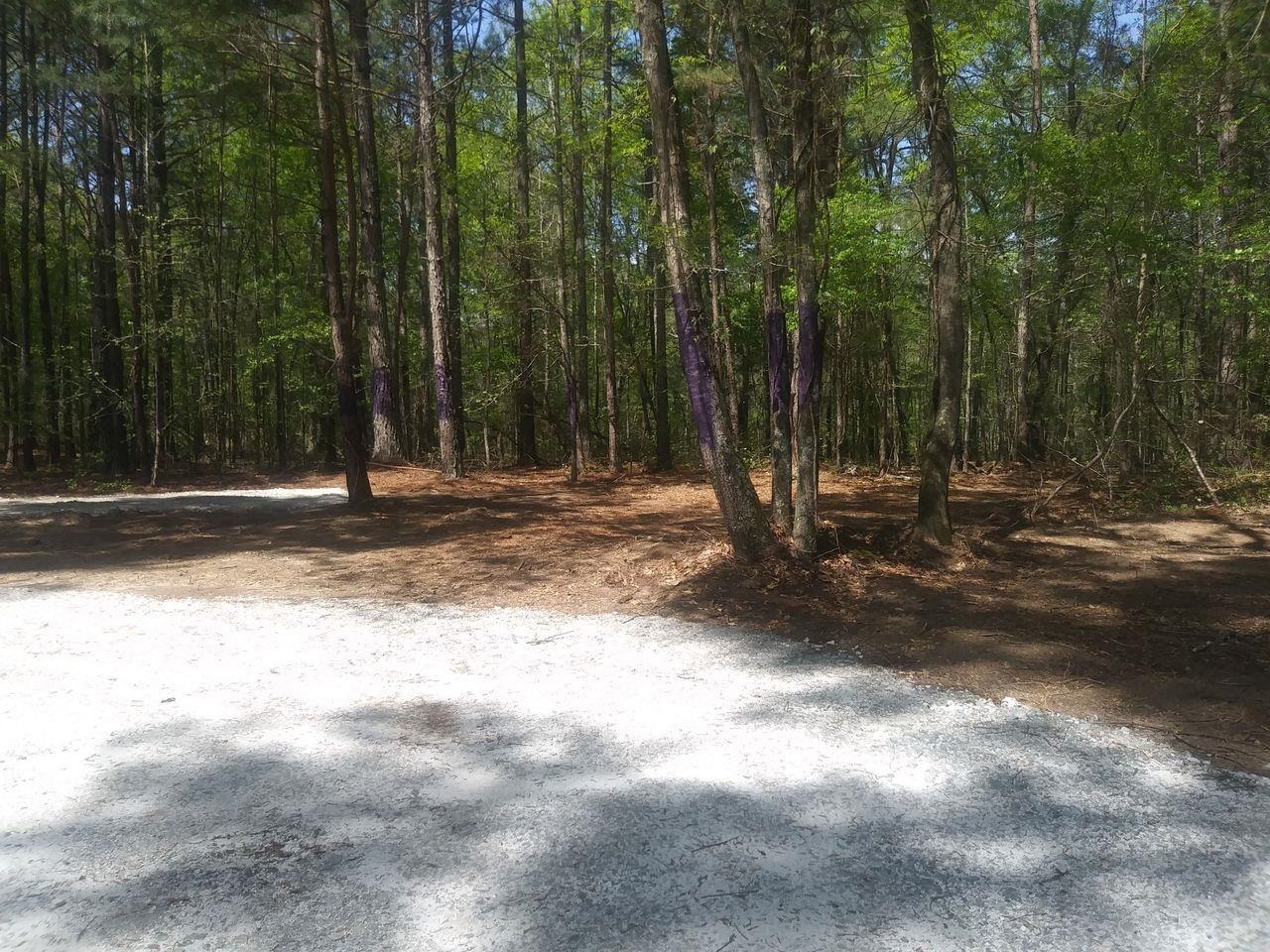 3107 Riviera DR NW Conyers, GA 30012