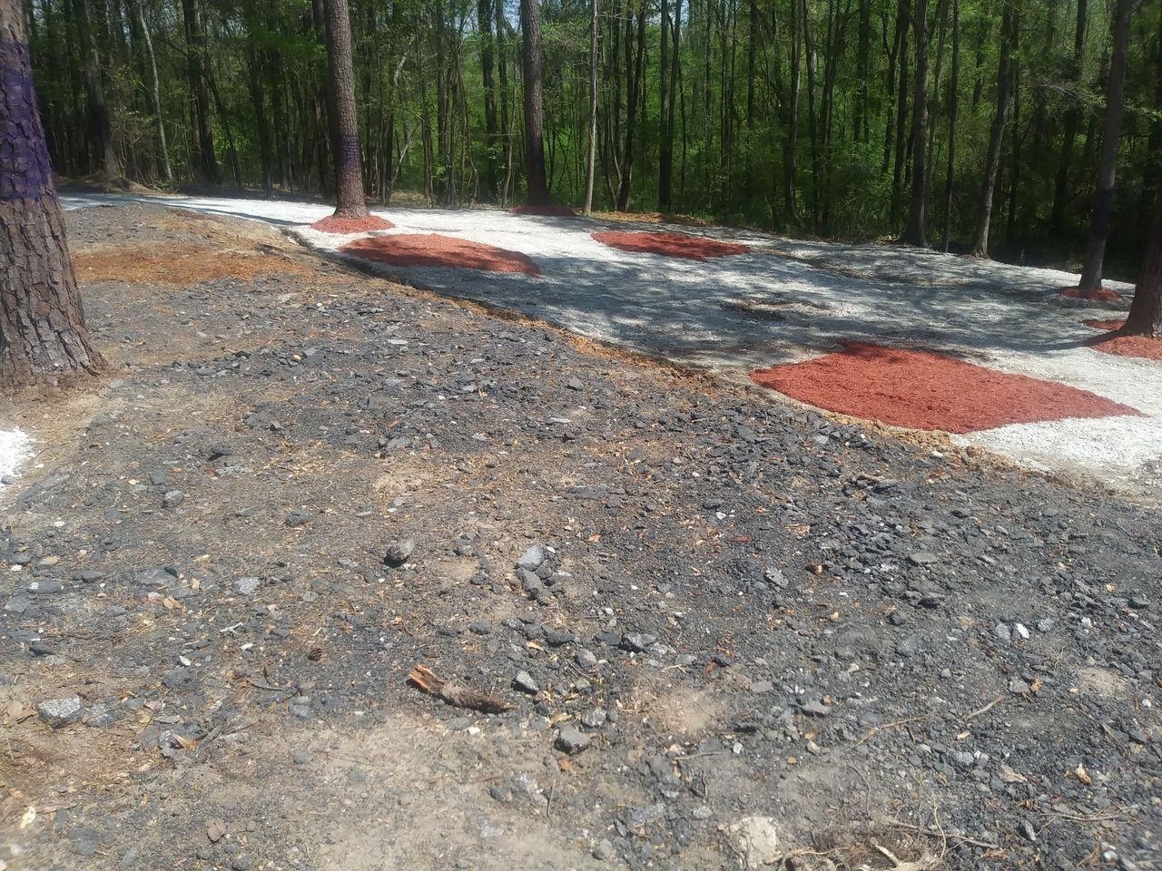 3107 Riviera DR NW Conyers, GA 30012