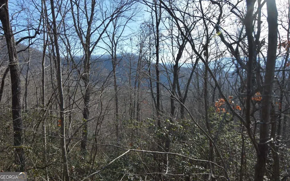 LOT 20 Enchanted Ridge RDG Hayesville, NC 28904